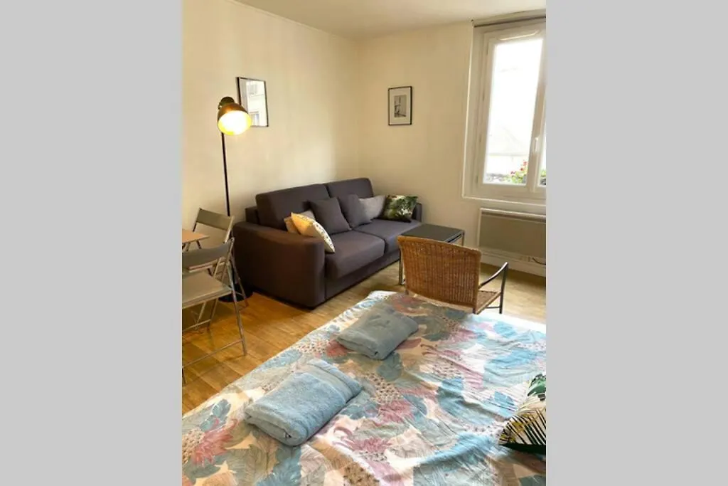 Large, Hyper Central Studio. Historical Appartement Parijs